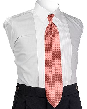 Style 4268: Synergy Guava 4-in-hand Tie
