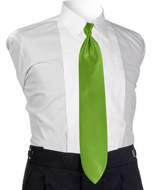 Style 4651: Jean Yves Solid Lime Tie