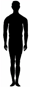 Slender Body Shape