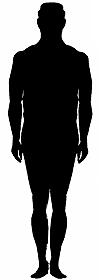 Portly Body Shape
