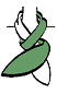 How to Tie an Ascot: Step 3