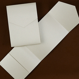 Classic Pocket - Gold Shimmer