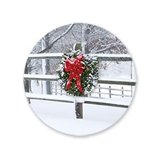 Holiday Fence - Seal