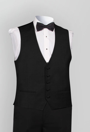 Vjablk vest cat