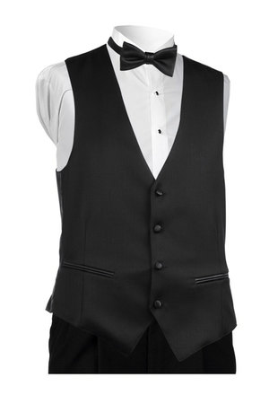 Vmkblk vest cat